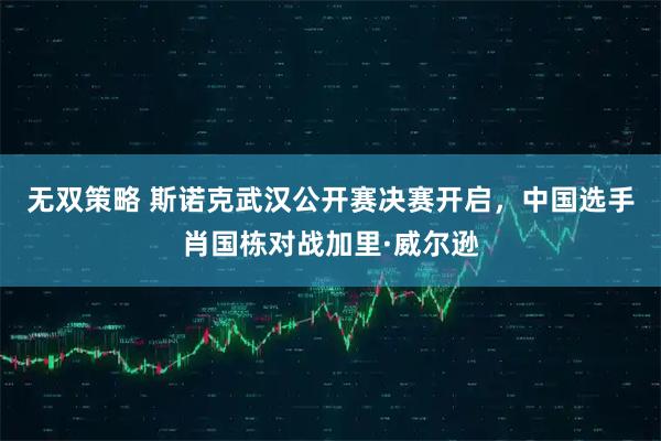 无双策略 斯诺克武汉公开赛决赛开启，中国选手肖国栋对战加里·威尔逊