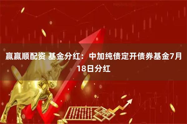 赢赢顺配资 基金分红：中加纯债定开债券基金7月18日分红